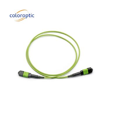 MTP Single Mode Patch Cord MTP Connector G652D / G657A1 / G657A2 Sợi