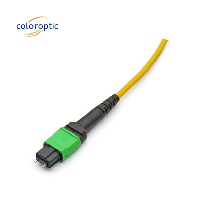 MTP / MPO Cáp gốc sợi quang màu vàng cho ứng dụng 40G / 100G