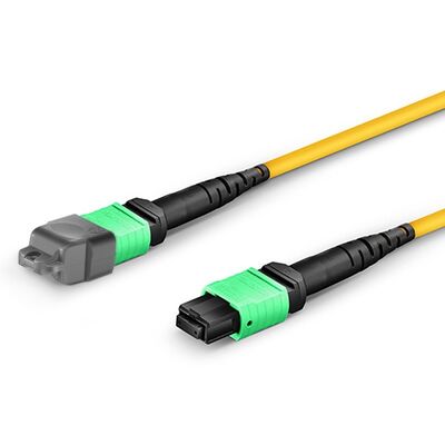 Đường dây đệm MTP quang học thụ động Cáp chế độ đơn 1M - 50M