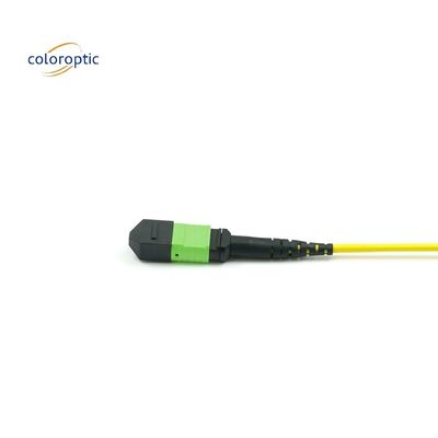 1m đa sợi đẩy trên dây đệm MPO với áo khoác PVC màu Aqua