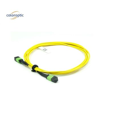 OM3 MPO Patch Cord 12 Core Aqua Fiber Optic Connector cho mạng hiệu quả