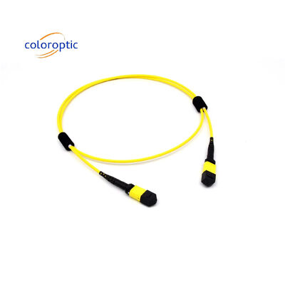 Mtp(Mpo) Cáp vá đơn chế độ 12 sợi loại B nữ đến kết nối nữ Pc đánh bóng