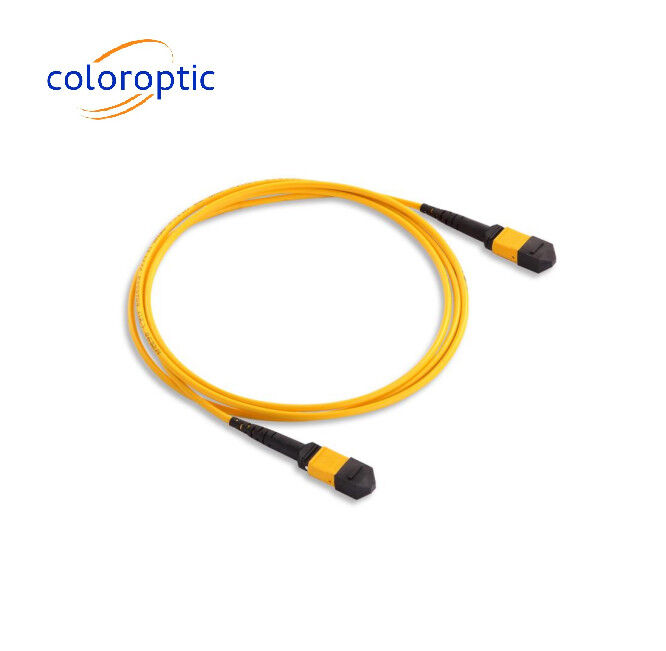 MTP / MPO Cáp gốc sợi quang màu vàng cho ứng dụng 40G / 100G