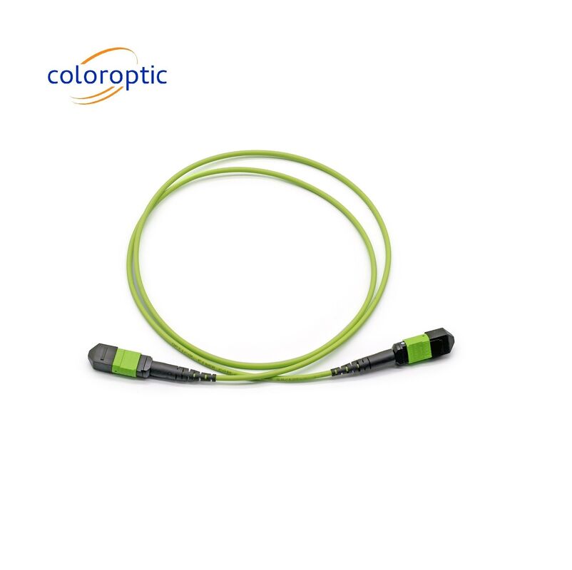 MTP Single Mode Patch Cord MTP Connector G652D / G657A1 / G657A2 Sợi