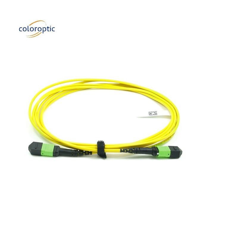 Passive Optical Single Mode Patch Cord MPO-12 / APC-To-MPO12 / APC